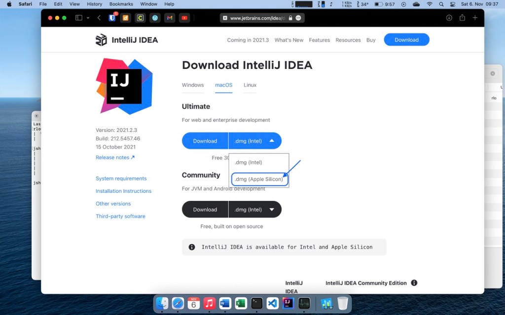 Picture showing how to download Apple Silicon version of IntelliJ IDEA.
