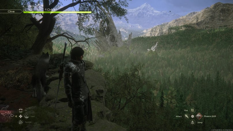 Clive stands at a cliff looking down at a very dense forest. White mountain peaks can be seen in the distance.