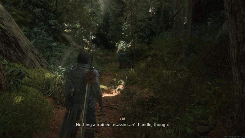 Clive and Cid are in a lush forest full of trees. The ground is partly covered in moss and a giant tree trunk juts out to the left of Clive.